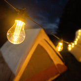 Brightz Edison Bulb String Lights