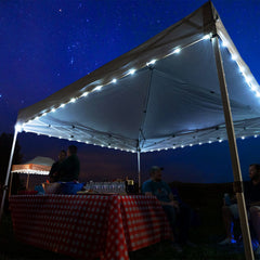 Canopy Brightz