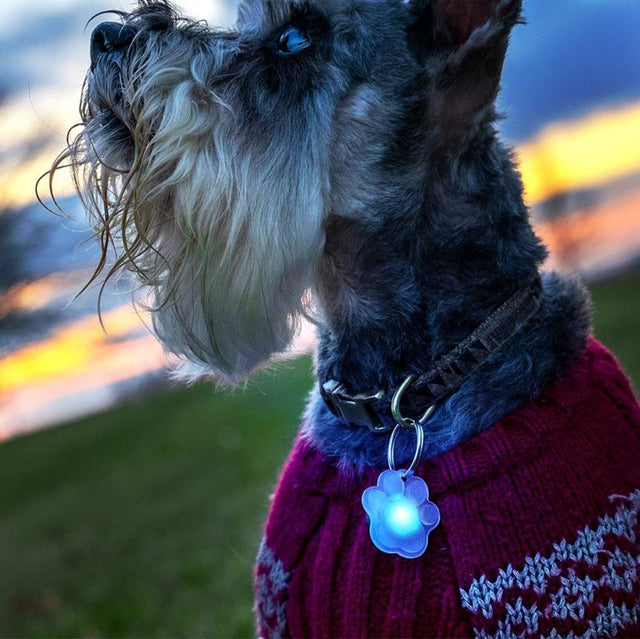 Pup Brightz (2-LED Charms)