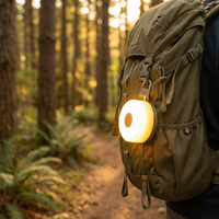 Brightz Lantern Reel Light