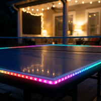 Brightz LED Ping Pong Table Tennis Lights