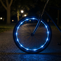 WheelBrightz LED Bike Wheel Lights