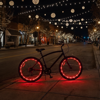 WheelBrightz LED Bike Wheel Lights
